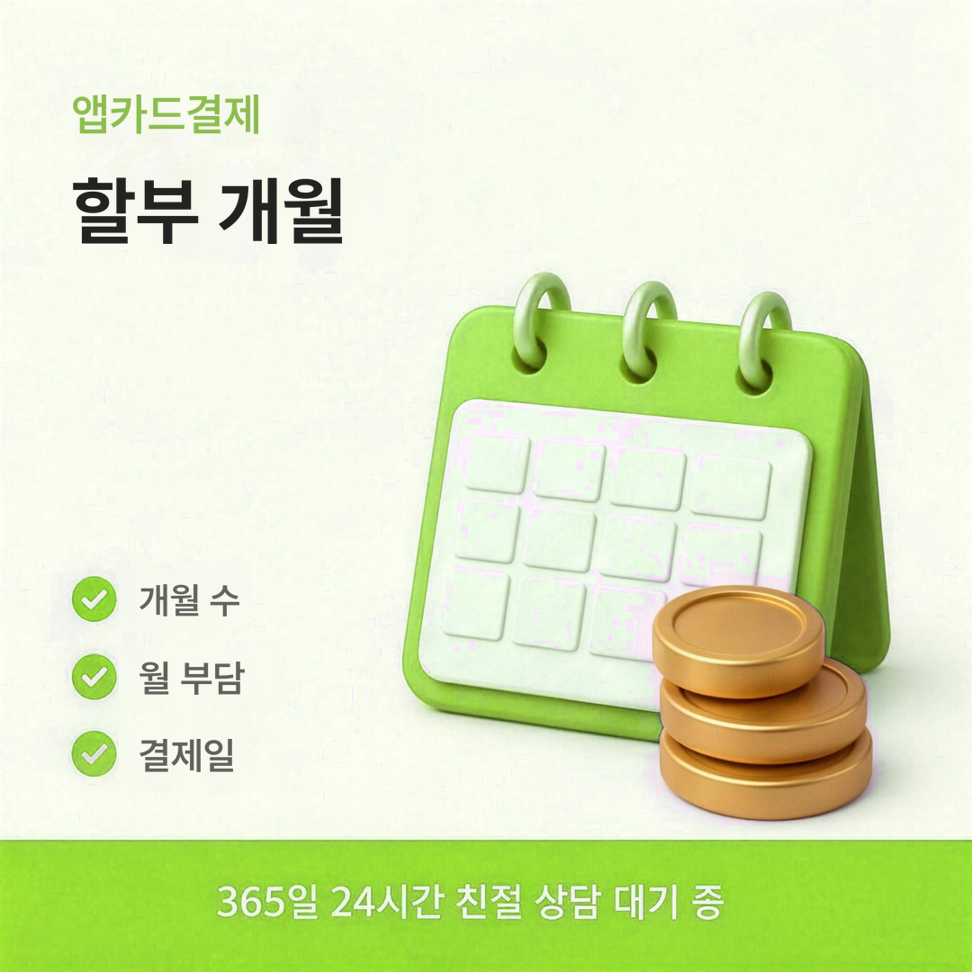 다음머니 앱카드결제 할부 개월 안내