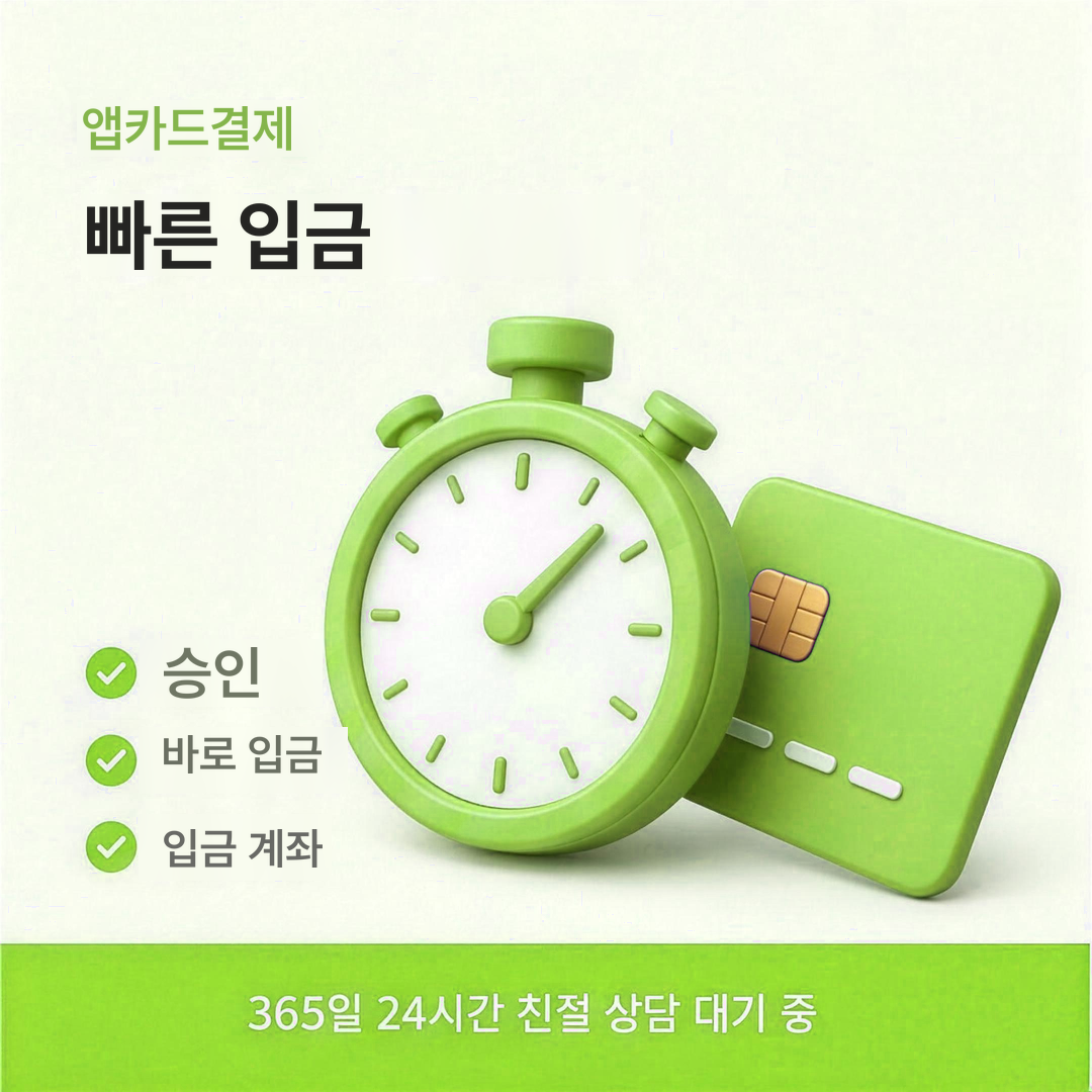 다음머니 앱카드결제 빠른 입금 안내