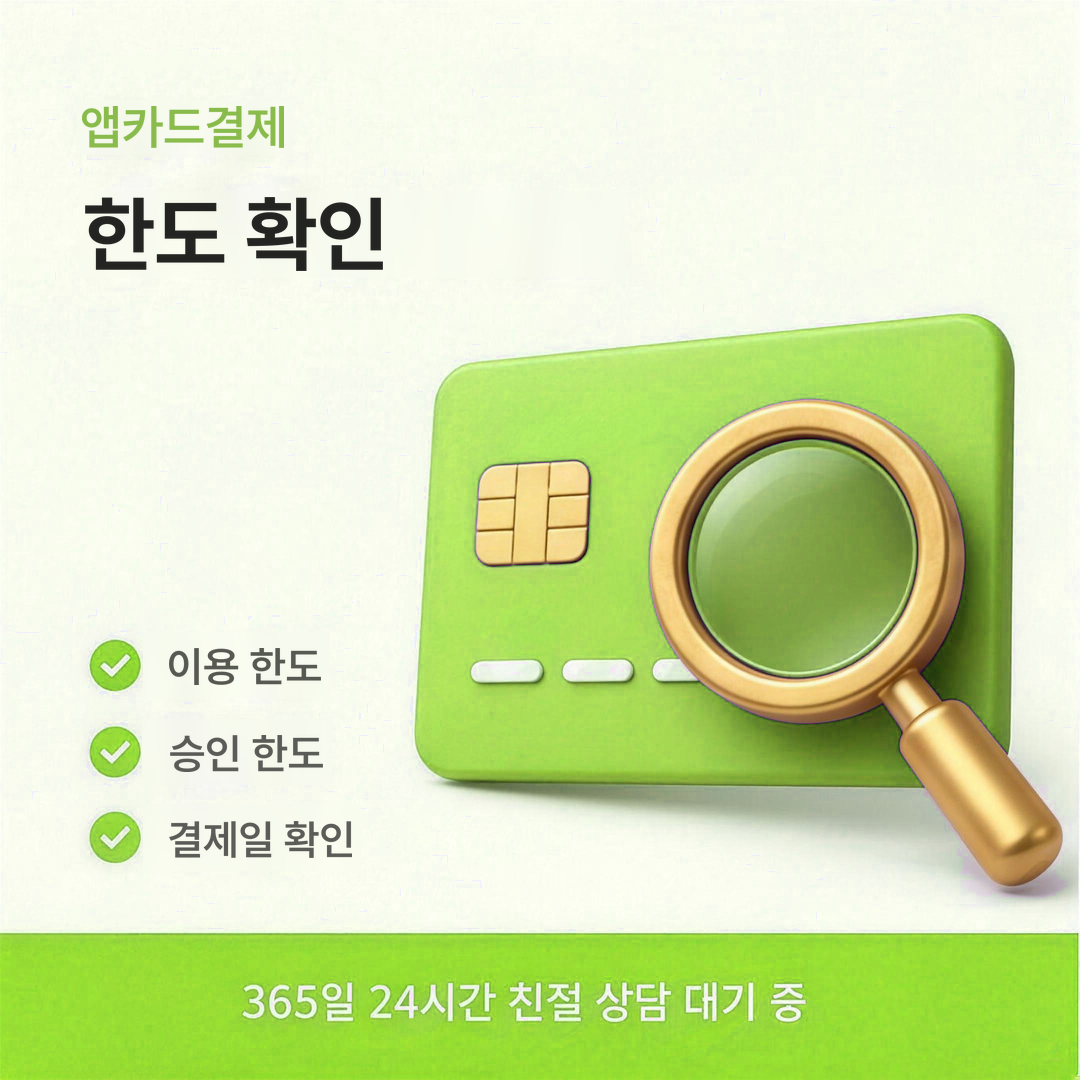 다음머니 앱카드결제 한도 확인 안내